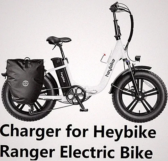 🔥fast 3A Smart Charger for Heybike Ranger Electric Bike 500W KNT 🔥