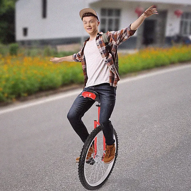 One Wheel Bike Aluminum Alloy Unicycle Monocycle 24" Popular Balance Bike Juggle